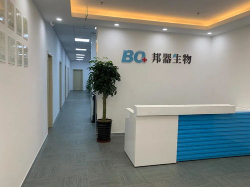 全力推進(jìn)技術(shù)開(kāi)發(fā)，構(gòu)筑未來(lái)發(fā)展新優(yōu)勢(shì)