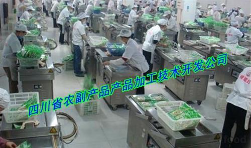 紅薯脯加工設(shè)備供應(yīng)與技術(shù)創(chuàng)新解析 食品科技網(wǎng)助力產(chǎn)業(yè)升級(jí)